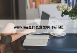 winking是什么意思啊（wink）